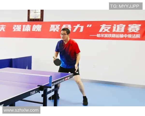 南京羽毛球队在全国锦标赛中的耐力表现分析与总结