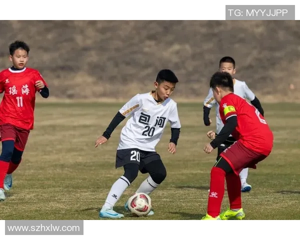 足球场上的闪电之星谁是跑得最快的足球明星揭秘